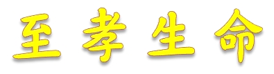 至孝生命